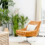 Tan leather swivel armchair by a window